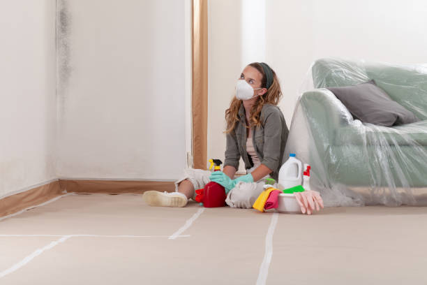 Reliable Mold Remediation contractor in Anoka, MN by Cheap Mold Removal
